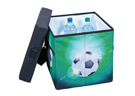 Kannettava kylmälaukku Fanbox I