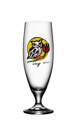 Friendship Olutlasi Stay Wise 50 cl
