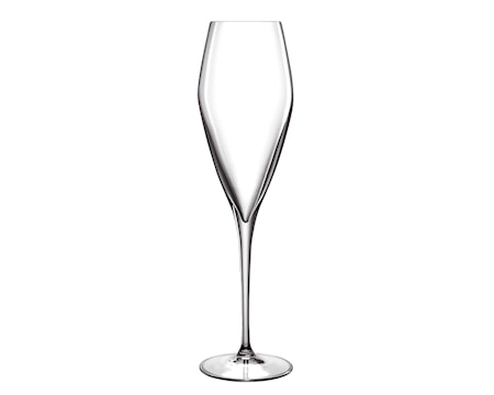 LB Atelier Samppanjalasi/Prosecco 2 kpl