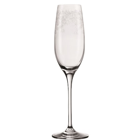 Chateau Samppanjalasi 20 cl 6-pakkaus Kirkas/Kuvioitu